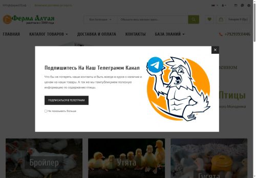 xn--22-6kct9ax0a.xn--p1ai capture - 2025-06-28 16:35:59