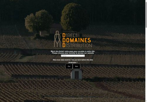 direct-domaines-distribution.com capture - 2025-06-28 17:39:32