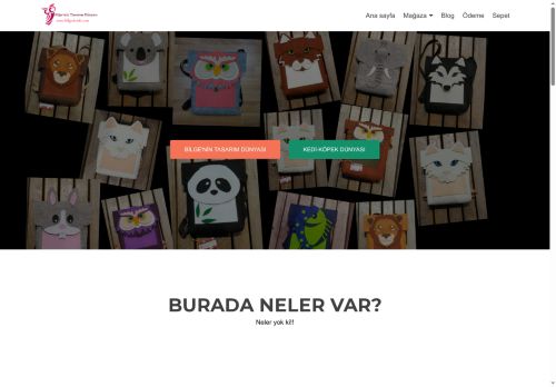 bilgedenki.com capture - 2025-06-28 21:15:17