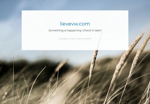 lievevw.com capture - 2025-06-28 21:46:01