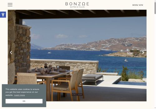 Bonzoe capture - 2025-06-29 03:20:48