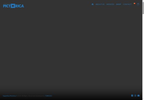 superficiepictorica.com capture - 2025-06-29 04:21:47