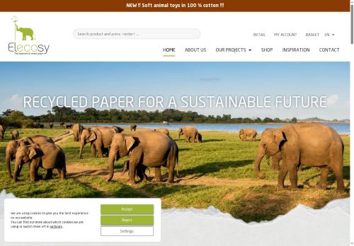 elecosy.com capture - 2025-06-29 05:25:34