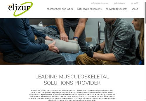 elizurcorp.com capture - 2025-06-29 06:57:37