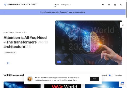 binarymindset.com capture - 2025-06-29 12:53:21