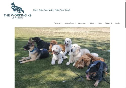 theworkingk9university.com capture - 2025-06-29 14:59:51