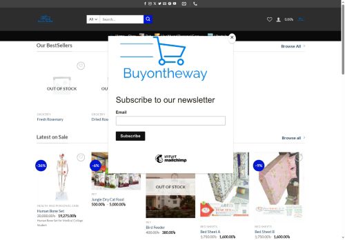 buyontheway.com capture - 2025-06-29 21:00:24