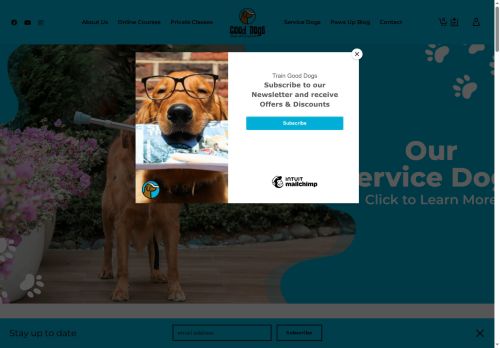 traingooddogs.com capture - 2025-06-29 22:44:38