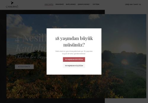 yunatcilar.com capture - 2025-06-29 23:57:20