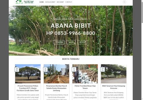 abanabibit.com capture - 2025-06-30 00:03:07