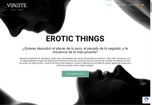 virgite.com capture - 2025-06-30 00:33:20