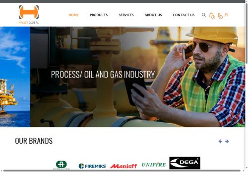 hylectglobal.com capture - 2025-06-30 01:30:30