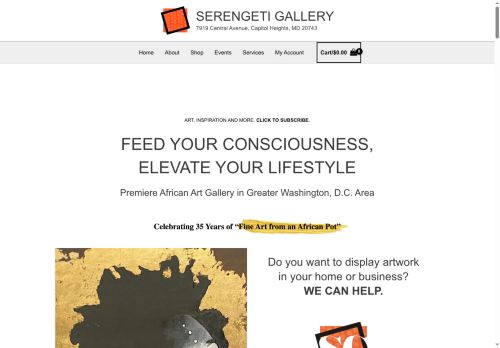 srngti.com capture - 2025-06-30 05:33:53