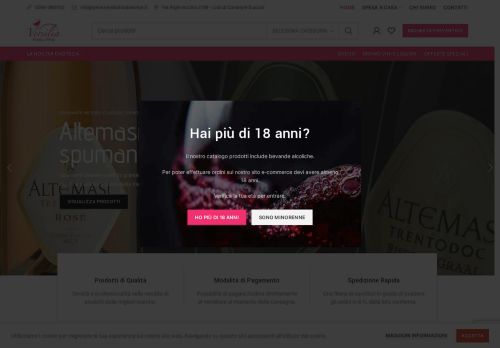 versiliafoodservice.it capture - 2025-06-30 06:20:48