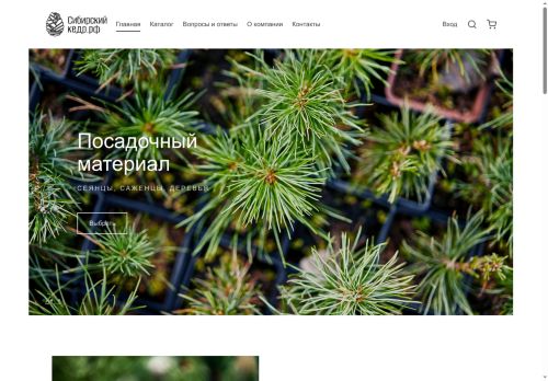 xn--90agckbahgc0dgbe.xn--p1ai capture - 2025-06-30 12:13:12