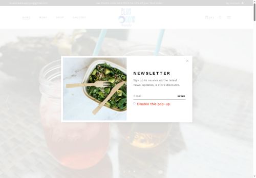 blueoceansupply.com capture - 2025-06-30 13:50:06