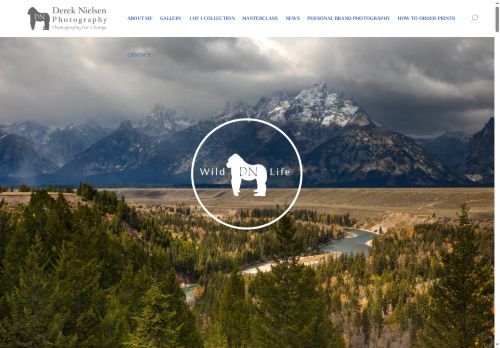 dereknielsen.com capture - 2025-06-30 16:20:08