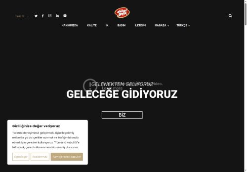ahmetipek.com capture - 2025-06-30 17:26:21