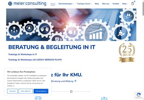 meier.consulting capture - 2025-06-30 17:53:53