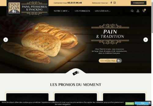 painetlevain.com capture - 2025-06-30 18:49:37