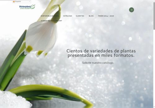 victorplant.com capture - 2025-06-30 22:14:31