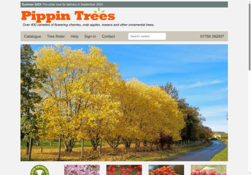 Pippin Trees capture - 2025-07-01 02:10:28