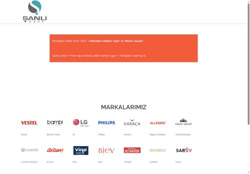 sanliticaret.com capture - 2025-07-01 05:50:04