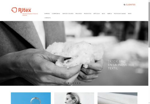 ritexweb.com capture - 2025-07-01 06:41:02