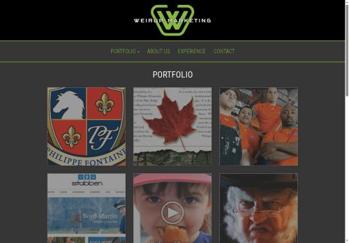 weirupmarketing.com capture - 2025-07-01 06:53:57