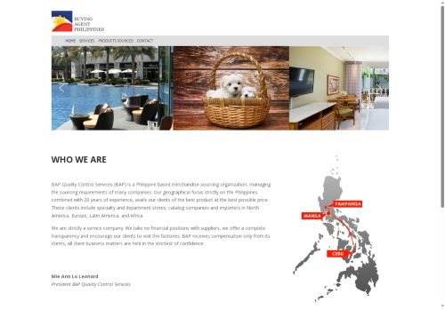 buyingagentphilippines.com capture - 2025-07-01 07:14:58