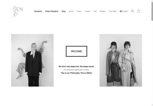 senzi-education.com capture - 2025-07-01 07:41:40