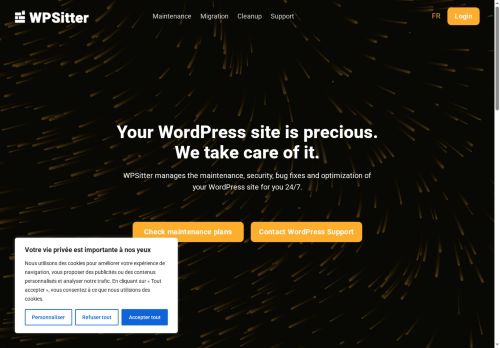 wpsitter.com capture - 2025-07-01 07:46:32