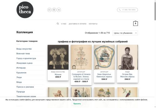 picotheca.ru capture - 2025-07-01 15:21:22