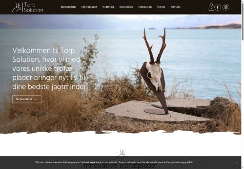 torpsolution.com capture - 2025-07-01 17:25:10