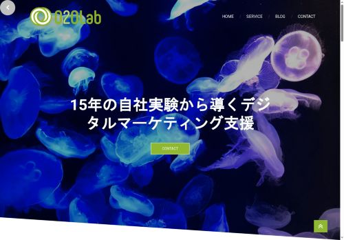 o2o-lab.com capture - 2025-07-01 18:08:45