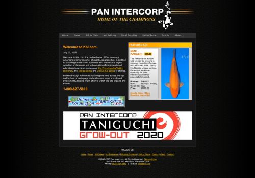 Koi.com capture - 2025-07-01 20:33:16