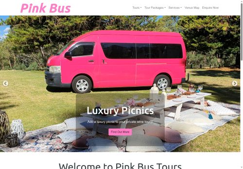Pink Bus Tours capture - 2025-07-01 20:39:15