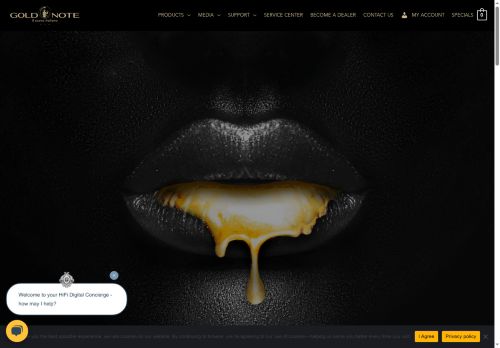 goldnoteusa.com capture - 2025-07-01 22:00:08