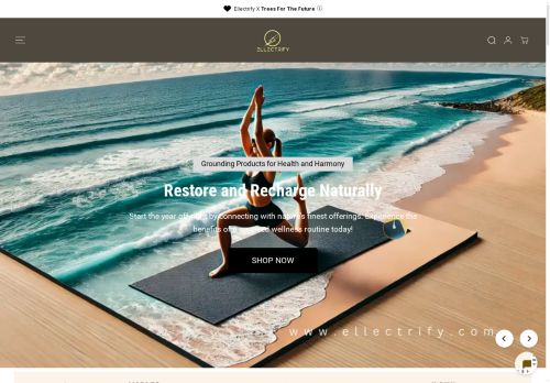 Ellectrify capture - 2025-07-02 00:18:24