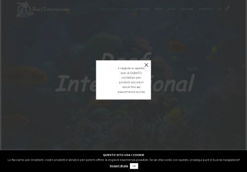 reef-international.com capture - 2025-07-02 00:18:24