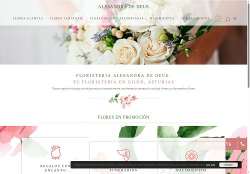 tufloristeriaengijon.com capture - 2025-07-02 03:52:32