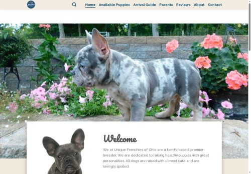 uniquefrenchiesofohio.com capture - 2025-07-02 07:48:23