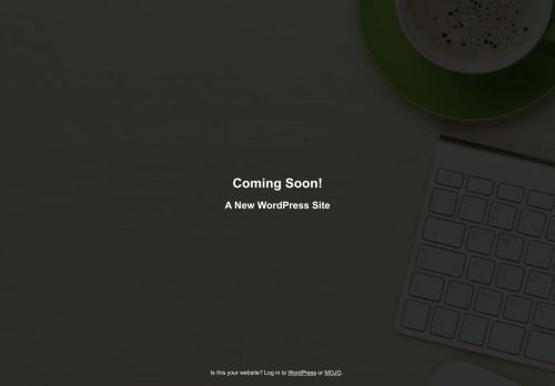 dentonaviation.com capture - 2025-07-02 08:45:05