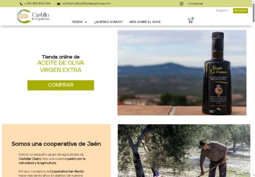 castillolaespinosa.com capture - 2025-07-02 15:41:10