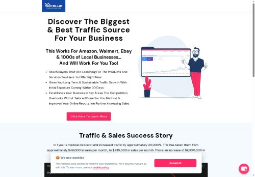 skybluemarketing.com capture - 2025-07-02 16:47:01