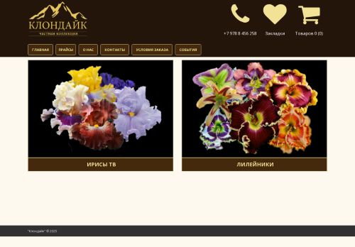 xn-----8kcpdqabbajficdebh6agu3ay4v.xn--p1ai capture - 2025-07-02 16:56:28