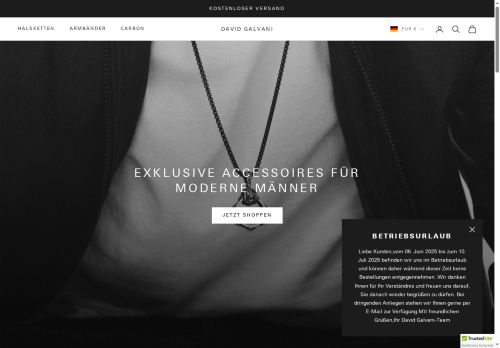 davidgalvani.com capture - 2025-07-02 17:24:13