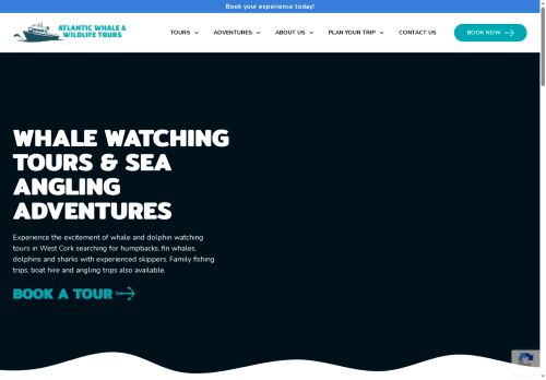 atlanticwhaleandwildlifetours.com capture - 2025-07-02 18:28:37