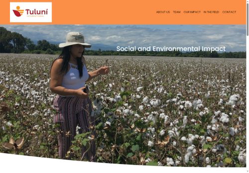 tuluni-international.com capture - 2025-07-02 18:30:38