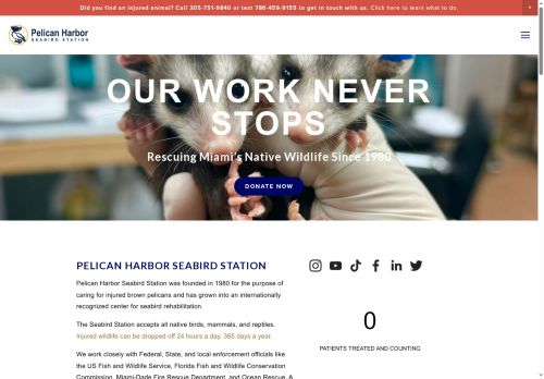 Pelican Harbor Seabird Station capture - 2025-07-03 01:15:45